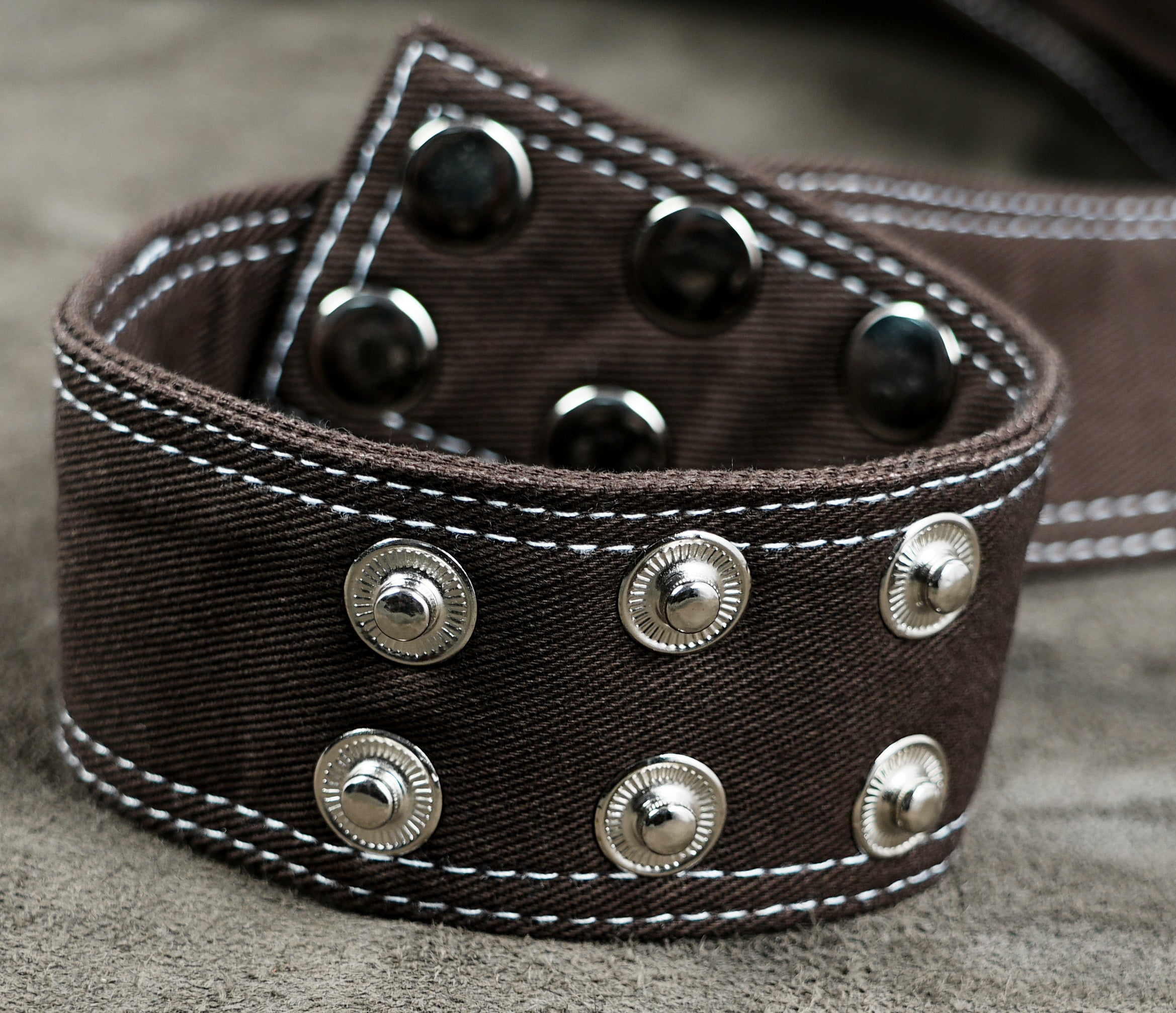 A close-up of a dark brown canvas belt with white contrast stitching and silver-toned metal rivets and snaps.